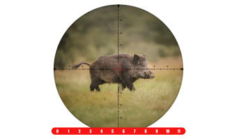 spina optics FalconPoint 5-30x56 4