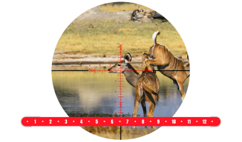 Spina Optics NovaForce 4-16x44 5