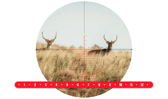 Spina Optics Glacier 5-30x56 FFP 4